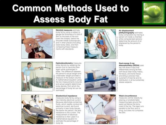Common Methods Used to Assess Body Fat